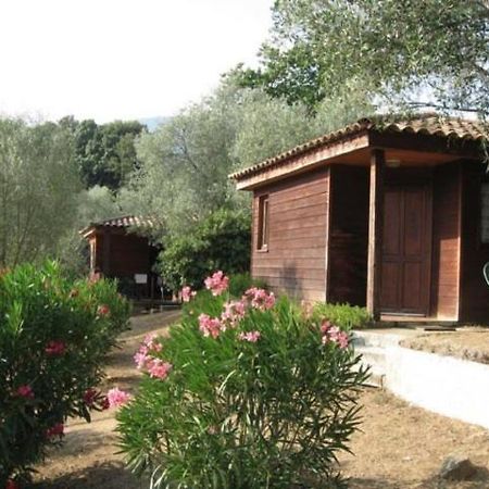 Gites Chalets De Grosseto-Prugna Екстер'єр фото