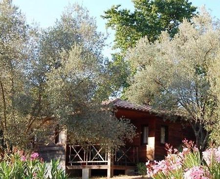 Gites Chalets De Grosseto-Prugna Екстер'єр фото