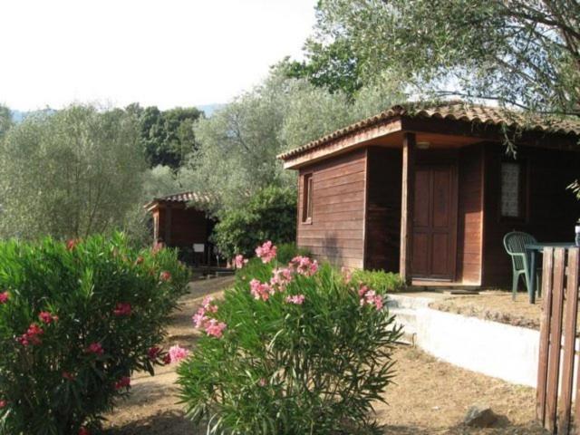 Gites Chalets De Grosseto-Prugna Екстер'єр фото