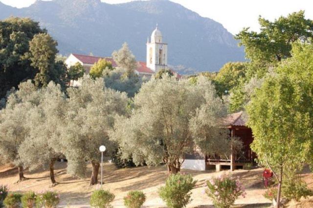 Gites Chalets De Grosseto-Prugna Екстер'єр фото