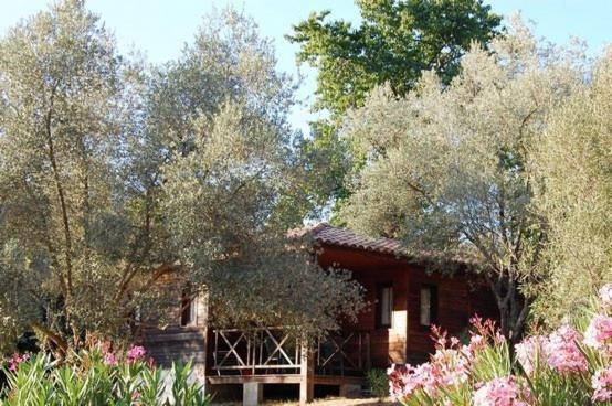 Gites Chalets De Grosseto-Prugna Екстер'єр фото