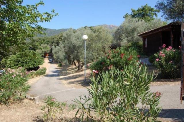 Gites Chalets De Grosseto-Prugna Екстер'єр фото